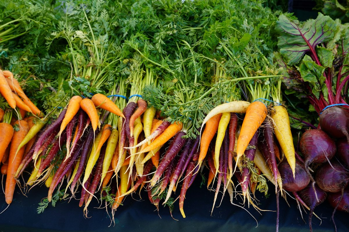 Bottes de carottes de couleurs et betteraves sur un étal de marché